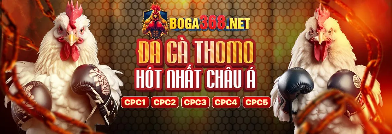 Mẹo chơi đá gà thắng lớn tại RG8369